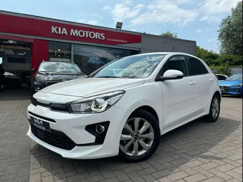 Annonce KIA RIO Essence 2023 d'occasion 