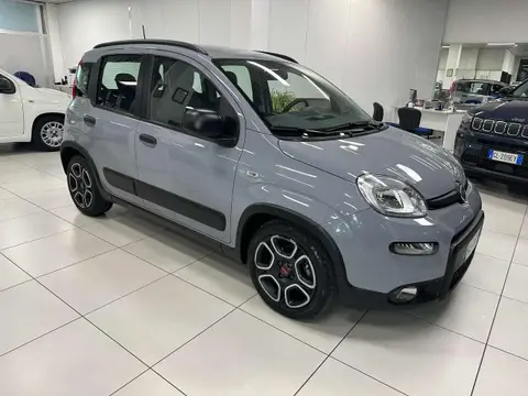 Used FIAT PANDA Hybrid 2021 Ad 