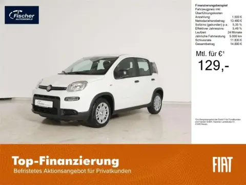 Annonce FIAT PANDA Essence 2024 d'occasion 