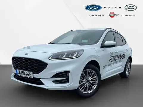 Annonce FORD KUGA Hybride 2024 d'occasion 