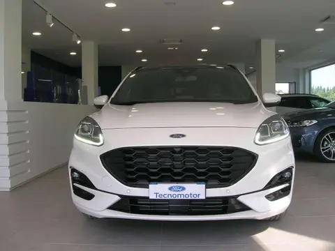 Annonce FORD KUGA Hybride 2022 d'occasion 