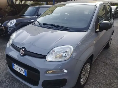 Annonce FIAT PANDA Hybride 2022 d'occasion 