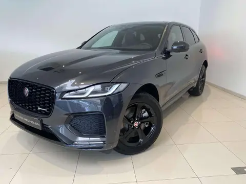 Used JAGUAR F-PACE Hybrid 2023 Ad 