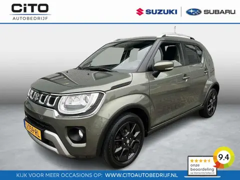 Annonce SUZUKI IGNIS Hybride 2020 d'occasion 