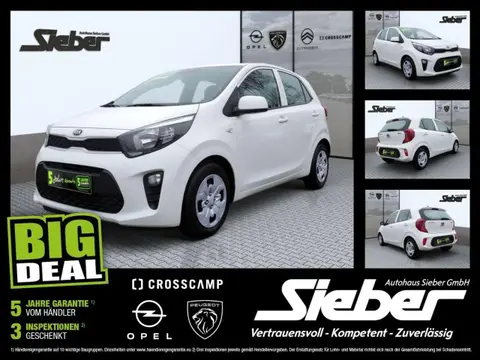 Used KIA PICANTO Petrol 2020 Ad 