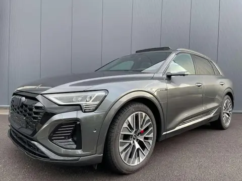 Used AUDI Q8 Electric 2023 Ad 