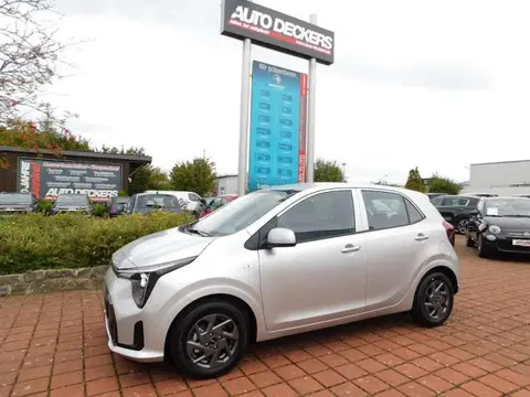 Used KIA PICANTO Petrol 2024 Ad 