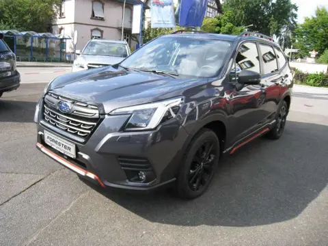 Annonce SUBARU FORESTER Hybride 2024 d'occasion 