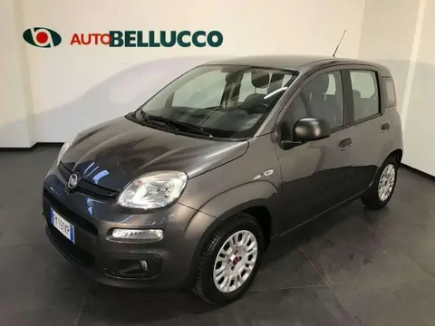 Used FIAT PANDA Petrol 2017 Ad 