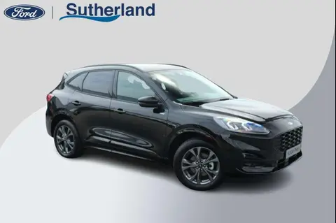 Used FORD KUGA Hybrid 2023 Ad 