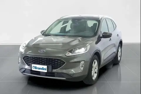 Used FORD KUGA Diesel 2021 Ad 