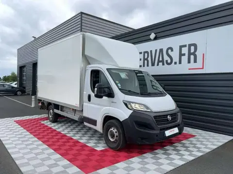 Annonce FIAT DUCATO Diesel 2021 d'occasion 