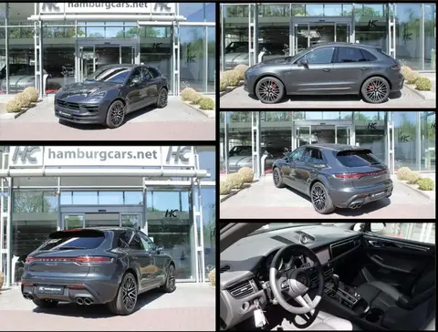 Used PORSCHE MACAN Petrol 2024 Ad 