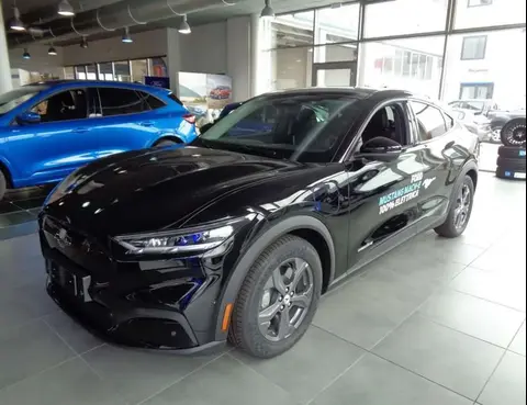 Annonce FORD MUSTANG Électrique 2024 d'occasion 