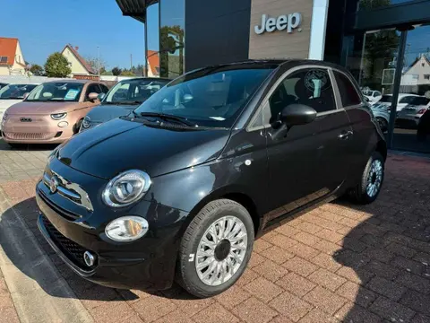 Used FIAT 500 Petrol 2023 Ad 