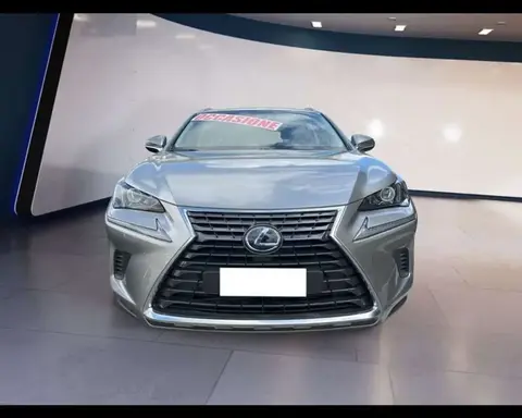 Annonce LEXUS NX Hybride 2019 d'occasion 