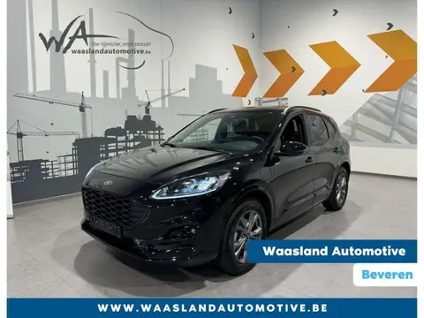 Annonce FORD KUGA Hybride 2023 d'occasion 