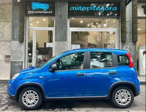 Used FIAT PANDA Hybrid 2024 Ad 