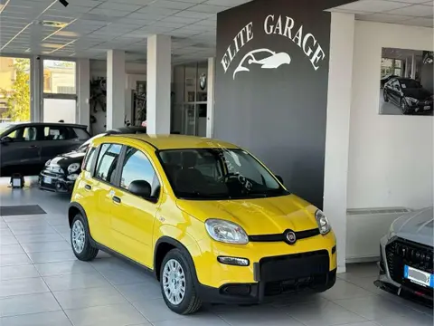 Annonce FIAT PANDA Hybride 2023 d'occasion 