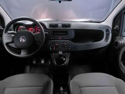 Used FIAT PANDA Hybrid 2024 Ad 