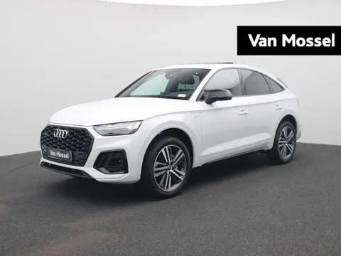 Used AUDI Q5 Hybrid 2023 Ad 