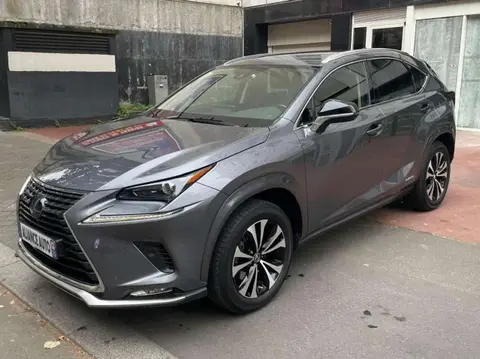 Annonce LEXUS NX  2020 d'occasion 