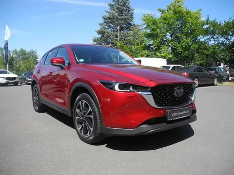 Used MAZDA CX-5 Diesel 2024 Ad 