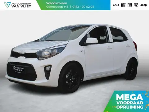 Annonce KIA PICANTO Essence 2024 d'occasion 