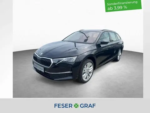 Used SKODA OCTAVIA Diesel 2024 Ad 