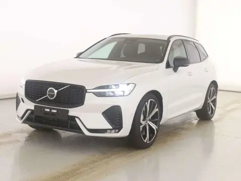 Used VOLVO XC60 Hybrid 2024 Ad 