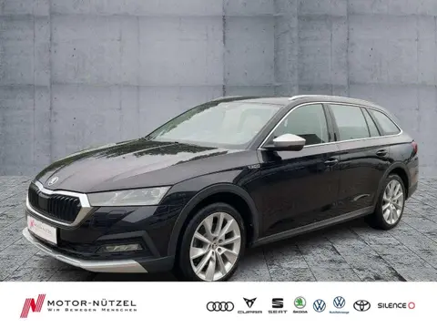 Annonce SKODA OCTAVIA Diesel 2021 d'occasion 