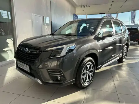 Annonce SUBARU FORESTER Hybride 2024 d'occasion 