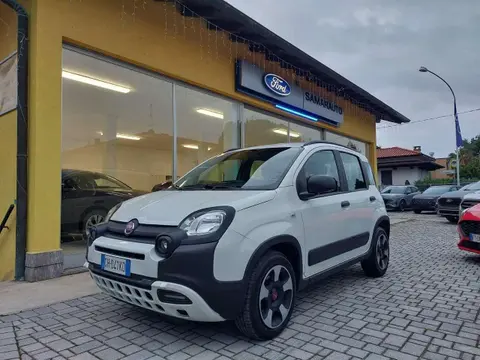 Used FIAT PANDA Hybrid 2022 Ad 