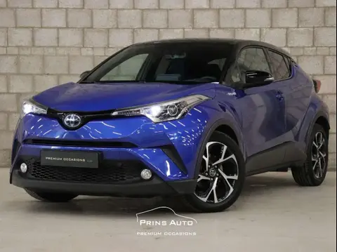 Used TOYOTA C-HR Hybrid 2017 Ad 