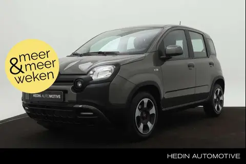 Used FIAT PANDA Petrol 2023 Ad 