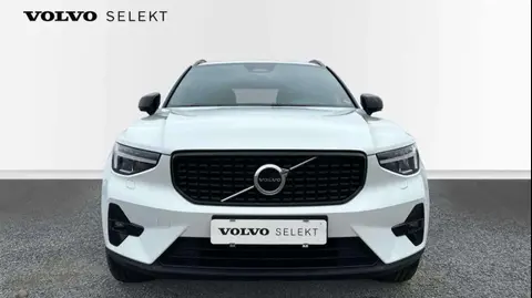 Used VOLVO XC40 Hybrid 2023 Ad 