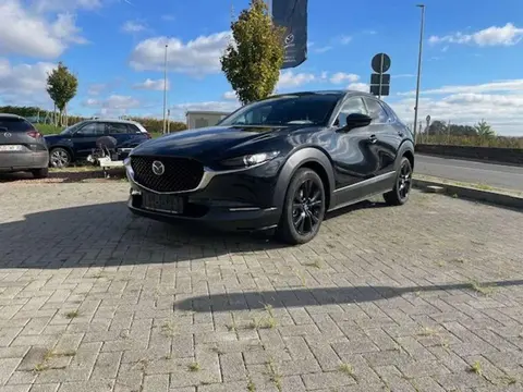 Annonce MAZDA CX-30 Essence 2023 d'occasion 