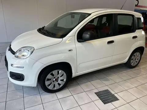 Annonce FIAT PANDA Essence 2019 d'occasion 