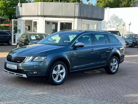 Annonce SKODA OCTAVIA Diesel 2019 d'occasion 