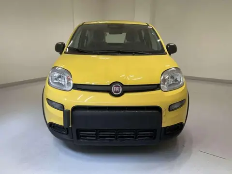 Used FIAT PANDA Hybrid 2024 Ad 