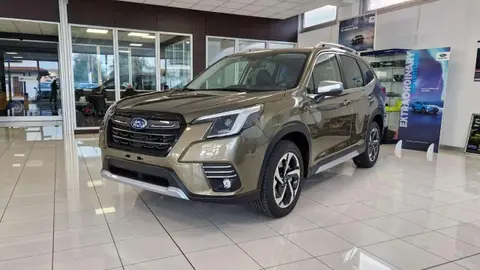 Annonce SUBARU FORESTER Hybride 2024 d'occasion 