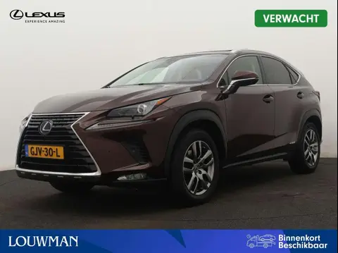 Used LEXUS NX Hybrid 2019 Ad 