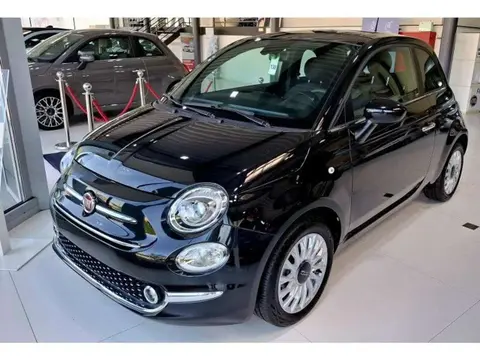 Used FIAT 500 Petrol 2023 Ad 