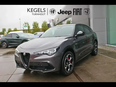 Used ALFA ROMEO STELVIO Petrol 2023 Ad 