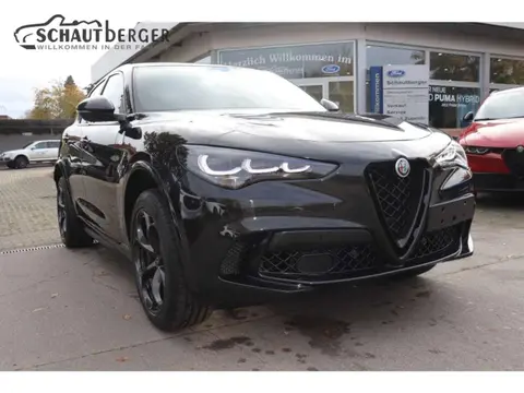 Used ALFA ROMEO STELVIO Petrol 2024 Ad 