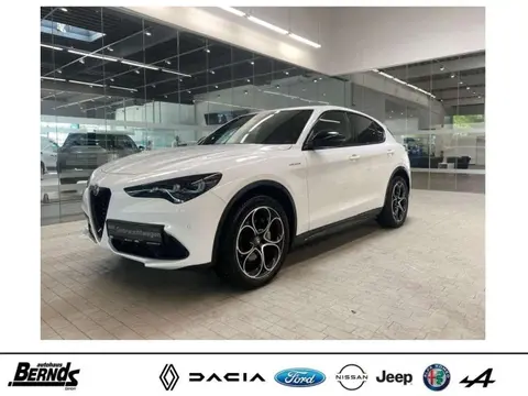 Used ALFA ROMEO STELVIO Petrol 2023 Ad 