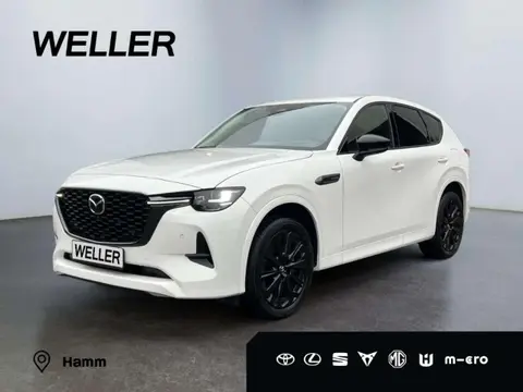 Annonce MAZDA CX-60 Diesel 2024 d'occasion 