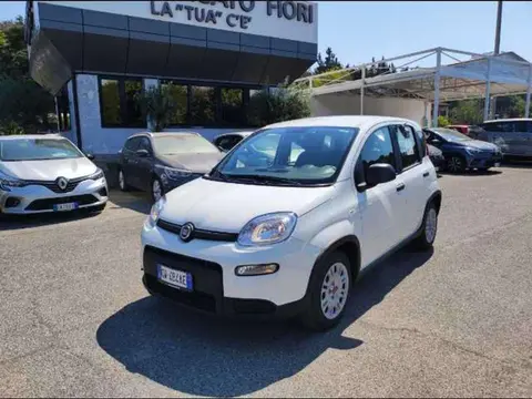 Annonce FIAT PANDA Hybride 2024 d'occasion 