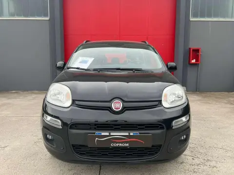 Used FIAT PANDA Petrol 2019 Ad 