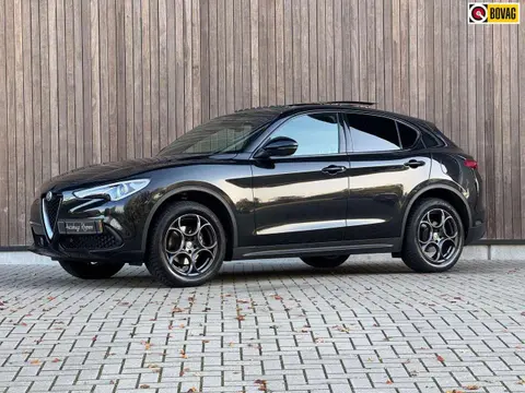 Used ALFA ROMEO STELVIO Petrol 2019 Ad 